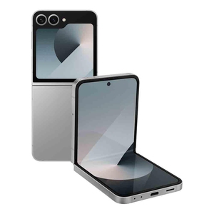 SAMSUNG Galaxy Z Flip6 5G (12 GB RAM, 256 GB ROM, Silver Shadow)